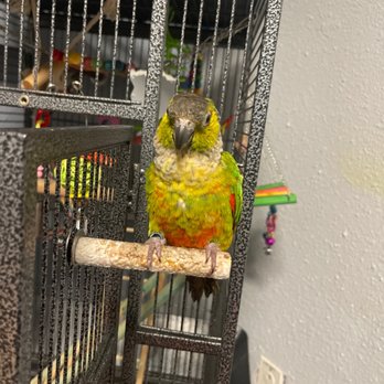 Arbor Pet Clinic - Carl loving life... thank you for everything you have done... he is my world - Veterinarians Near Me - Lodi, California