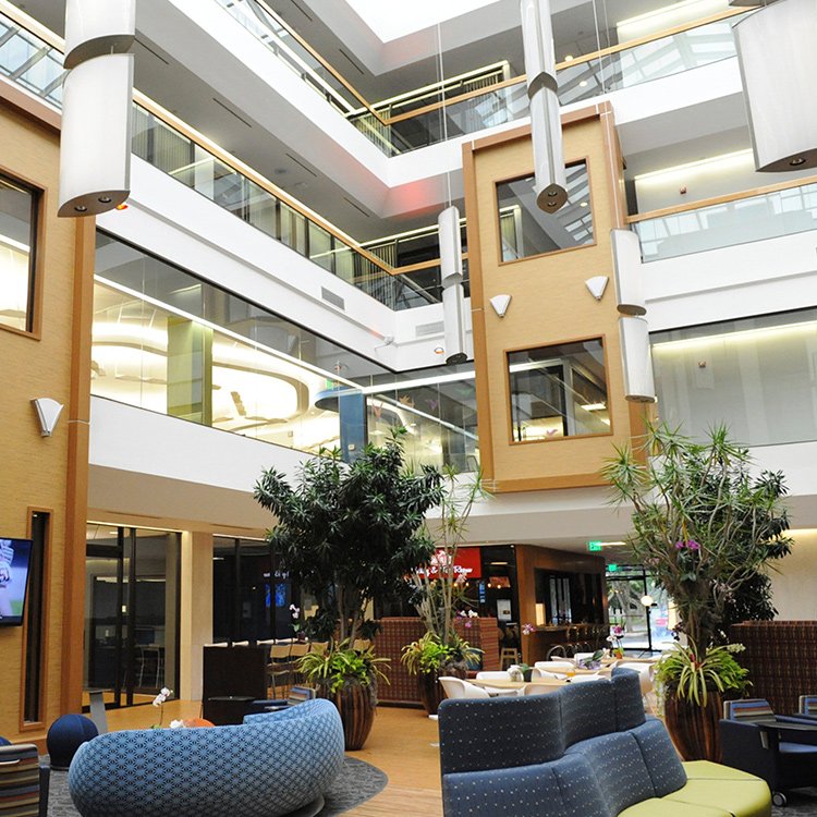 ESADoggy - grief counselor in Boca Raton, FL