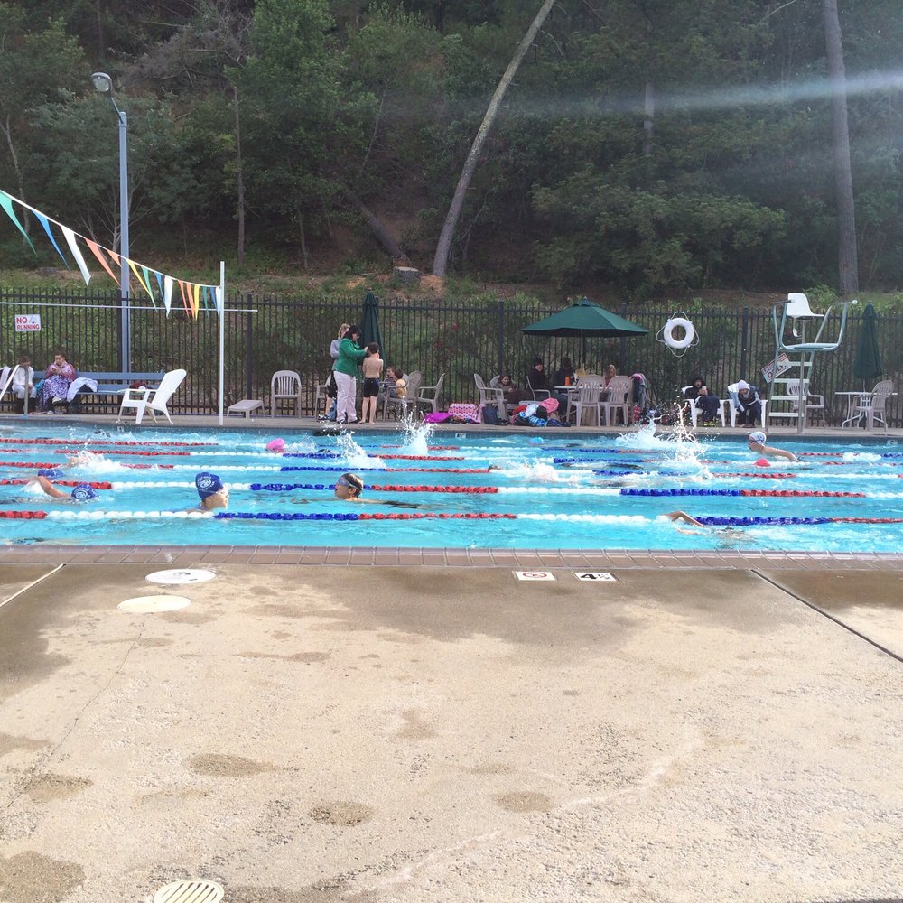 Forest Hills Aquatic Park - More swim team... - Swimming Pools Near Me - Martinez, California Forest Hills Aquatic Park - More swim team... - Swimming Pools Near Me - Martinez, California