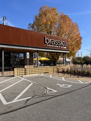 Brassica in Upper Arlington by null