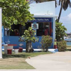 Scuba Dogs - Escambrón Marine Park