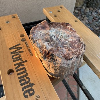 DoBell Ranch and Curios - BEFORE: raw unpolished petrified wood piece from DoBell's - Ranches Near Me - Holbrook, Arizona