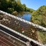 Curran Suspension Bridge