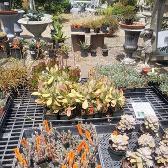 Bushnell Gardens Nursery - Nurseries & Gardening Near Me - Granite Bay, California Bushnell Gardens Nursery - Nurseries & Gardening Near Me - Granite Bay, California