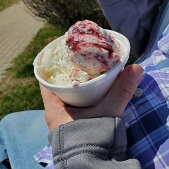 The Dairy Port - Maine Black Bear - Desserts Near Me - Bucksport, Maine The Dairy Port - Maine Black Bear - Desserts Near Me - Bucksport, Maine