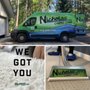 Nicholas Carpet Care