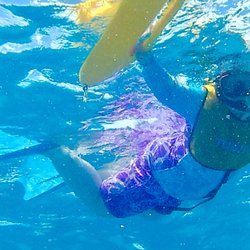 Moriahs Travel - Bike Hawaii Sail and Snorkel