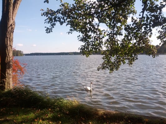 Strandbad Wendenschloss by null