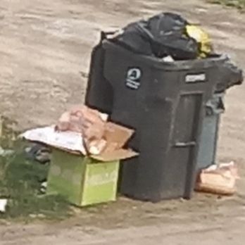 Advanced Disposal - 2 weeks, AD nowhere to be found. - Junk Removal & Hauling Near Me - Whitmore Lake, Michigan Advanced Disposal - 2 weeks, AD nowhere to be found. - Junk Removal & Hauling Near Me - Whitmore Lake, Michigan