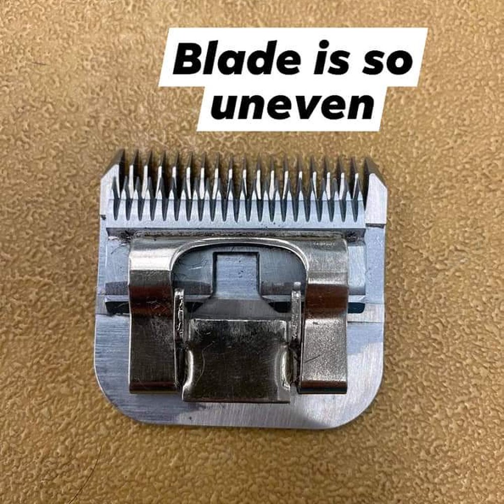Sharper Response - Knife Sharpening Near Me Sharper Response - Knife Sharpening Near Me
