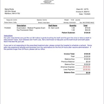 The Dog Wash - 1st bill for the Vet examining his scratched cornea and the 2 medicines we had to buy , along w/ the cone . - Pet Groomers Near Me - Marlborough, Massachusetts