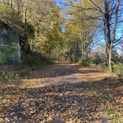 Leetonia Beehive Coke Ovens Park - Nearby hiking trail.