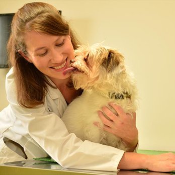 SmartVet Mobile Veterinary Service - SmartVet Mobile Veterinary Service - Veterinarians Near Me - Normal, Illinois SmartVet Mobile Veterinary Service - SmartVet Mobile Veterinary Service - Veterinarians Near Me - Normal, Illinois