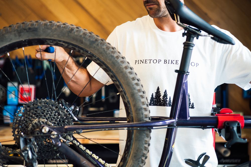 BIKE SHOP 12 Photos & 12 Reviews Bike Rentals 857 E White