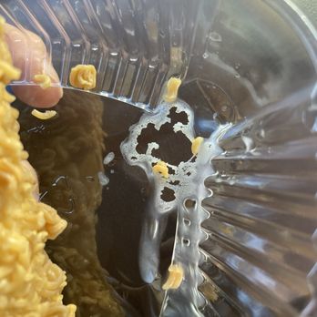 Mochi Lounge - MELTED PLASTIC CONTAINER! Melted onto the dog! - Donuts Near Me - Anaheim, California Mochi Lounge - MELTED PLASTIC CONTAINER! Melted onto the dog! - Donuts Near Me - Anaheim, California