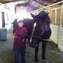 Photo of Rocky Mountain Riding Therapy