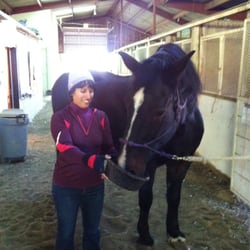 Rocky Mountain Riding Therapy - Levi! He's great with the children.