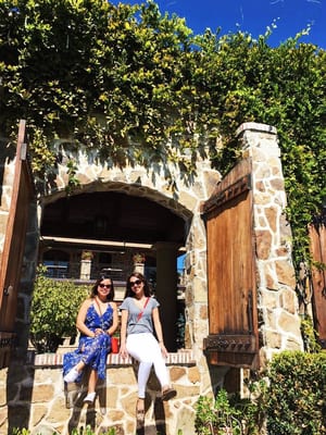 Napa Valley Wine Country Tours by null