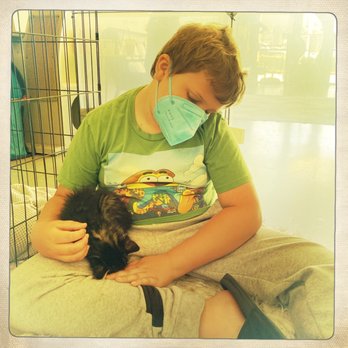 Cat & Craft - My son with little kitten "Brooklyn"who will (hopefully) be our newest family member as we just applied for approval! - Coffee & Tea Near Me - Vista, California Cat & Craft - My son with little kitten "Brooklyn"who will (hopefully) be our newest family member as we just applied for approval! - Coffee & Tea Near Me - Vista, California