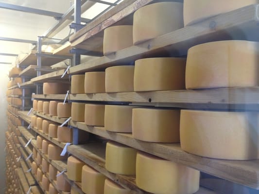 Fromagerie La Station by null