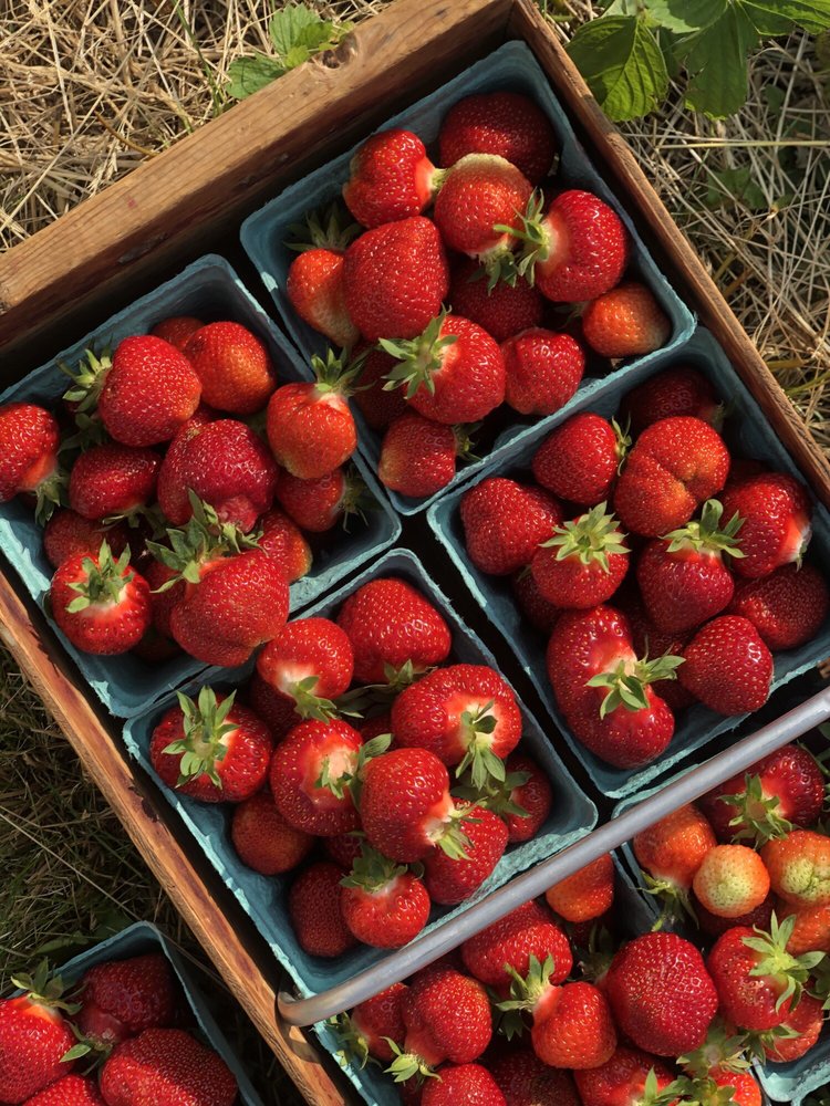 TOMION’S FARM MARKET Updated September 2024 200 State Rte 14A, Penn