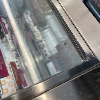 Dunkin' - Fruit flies - Donuts Near Me - Dumfries, Virginia