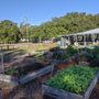 Medway Park and Community Garden