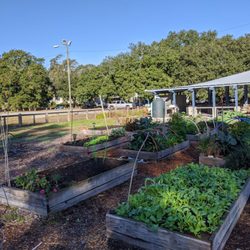 Medway Park and Community Garden