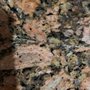 Photo of Bugs Exterminators Termite & Pest Services
