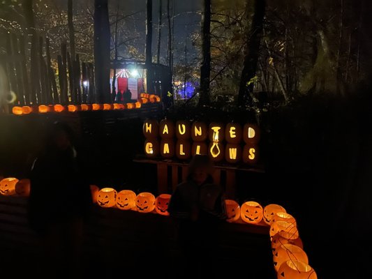 Haunted Gallows by null