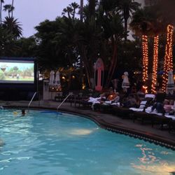 The Projector Guys - Poolside Dive in outdoor theatre . Marriot Hotel Miami, Fl