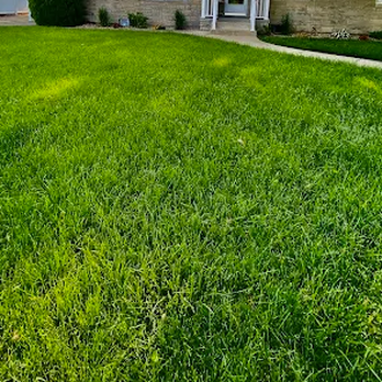 TruGreen Lawn Care - TruGreen plans lawn treatment around your grass and growing conditions in Lafayette, IN, and West Lafayette. - Tree Services Near Me - Lafayette, Indiana TruGreen Lawn Care - TruGreen plans lawn treatment around your grass and growing conditions in Lafayette, IN, and West Lafayette. - Tree Services Near Me - Lafayette, Indiana