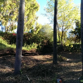 City Wide Landcare - After work in progress - Tree Services Near Me City Wide Landcare - After work in progress - Tree Services Near Me