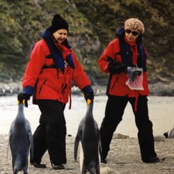 Travelstore - Brea - TravelStore's Susan (pictured left) at South Georgia Island, Antarctica.