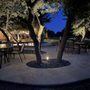 Photo of Twin's Landscaping LLC