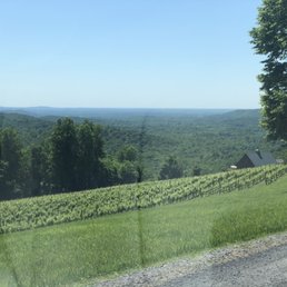 View from winery.