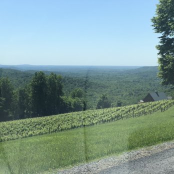 Chester Gap Cellars - View from winery. - Wineries Near Me - Front Royal, Virginia