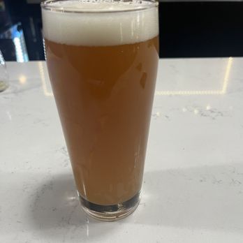 Salud Beer Shop - Pumpkin seasonal beer -- 4/5. - Beer, Wine & Spirits Near Me - Charlotte, North Carolina