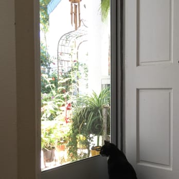 Mobile Screen Service - My cat approves of the new screen door as well - a great place to bird watch :). - Windows Installation Near Me - Santa Ana, California Mobile Screen Service - My cat approves of the new screen door as well - a great place to bird watch :). - Windows Installation Near Me - Santa Ana, California