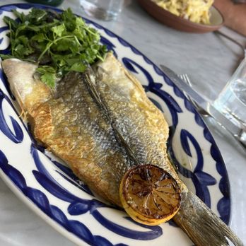 Terra - Italian Near Me - Santa Clara, California