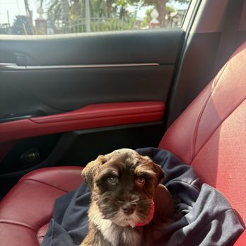 Zeus Barber Pets Spa - Pet Groomers Near Me - San Fernando, California