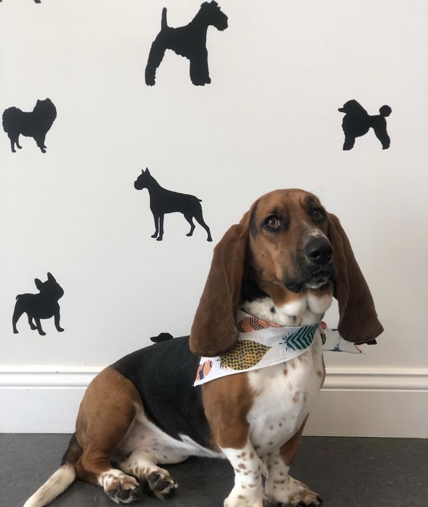 COPPERTAIL GROOMING Updated September 2024 23 Photos 119