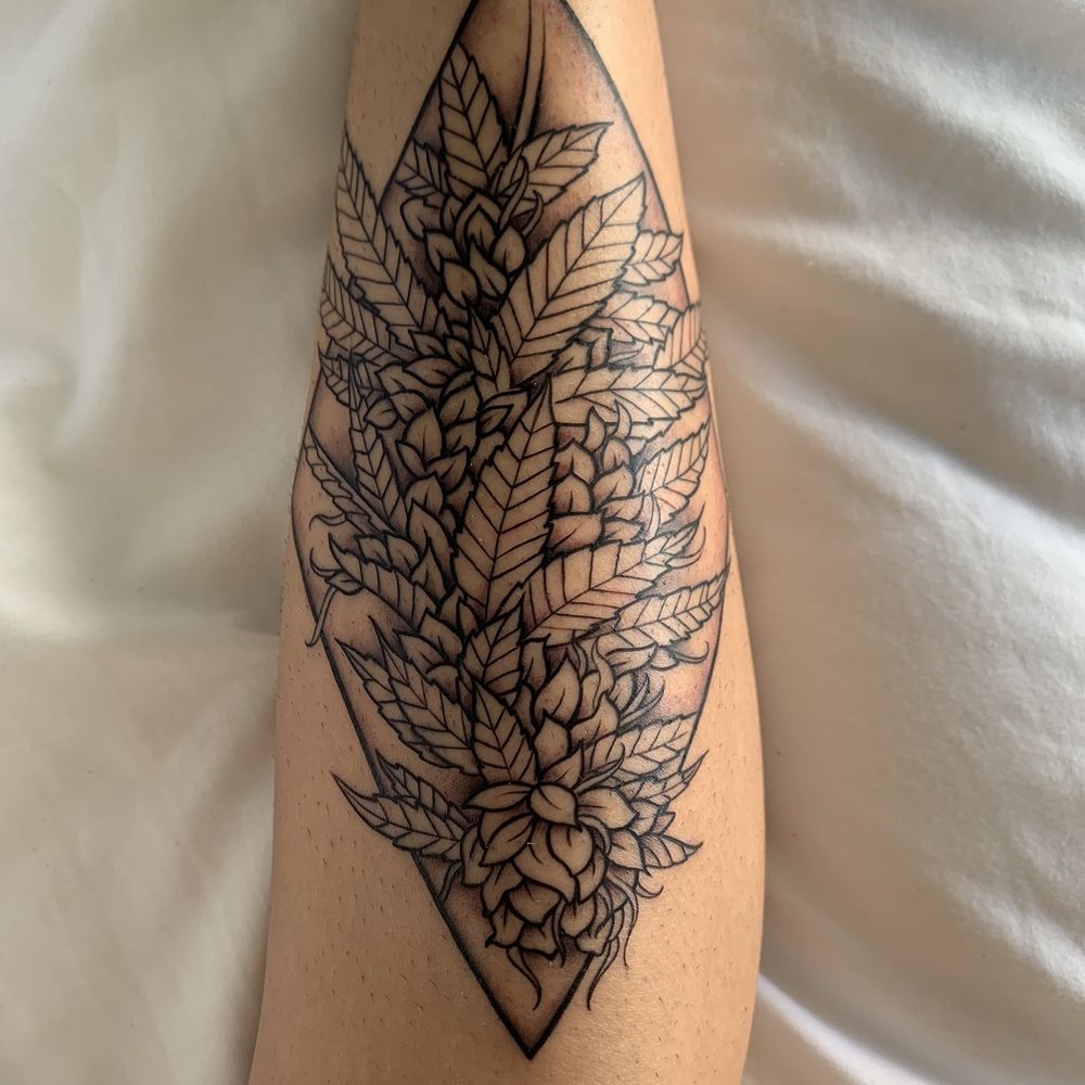 Electric Paradise Tattoo - Flowering Marijuana Plant - Tattoo Near Me - Honolulu, Hawaii Electric Paradise Tattoo - Flowering Marijuana Plant - Tattoo Near Me - Honolulu, Hawaii