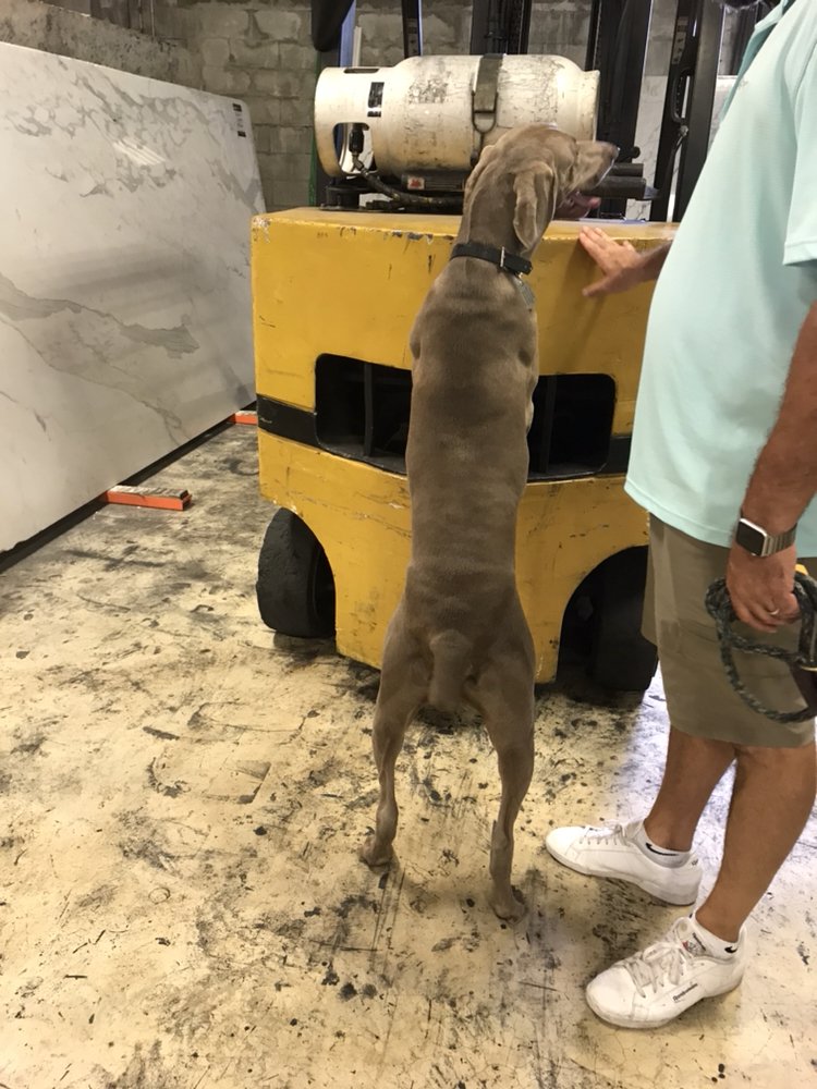 Slide of All Building and Construction