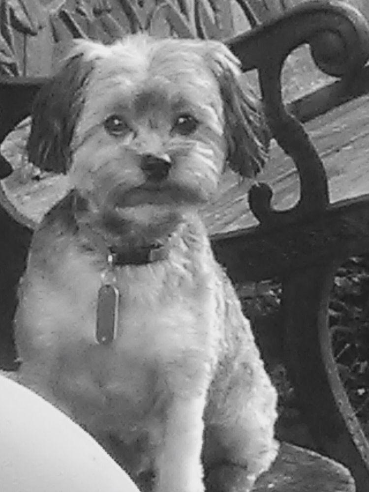 W & W SALVAGE Updated September 2024 2142 Craig Rd, Lenoir, North