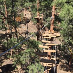 Treehouse Adventure Park