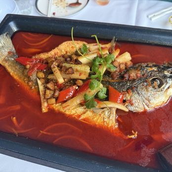 Jiang Nan - Bellevue - Grilled fish - Chinese Near Me - Bellevue, Washington