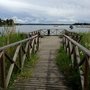 Photo of Trivselpir