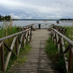 Trivselpir