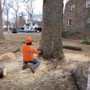 Randy's Tree Service
